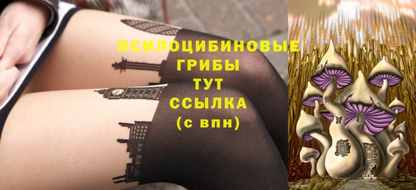 твердый Бутурлиновка