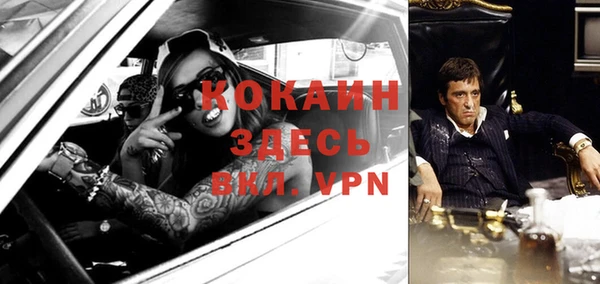 амф Осинники
