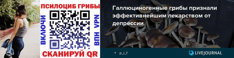 сайты даркнета состав Нелидово Псилоцибиновые грибы ЛСД mega
